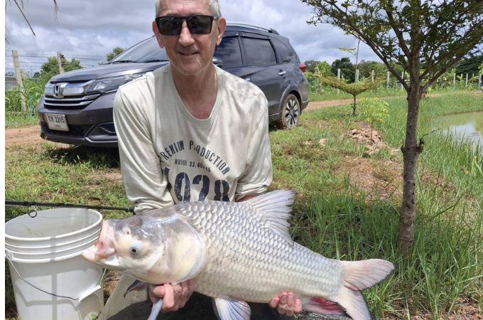 Kalasin giant carp Kalasin giant carp