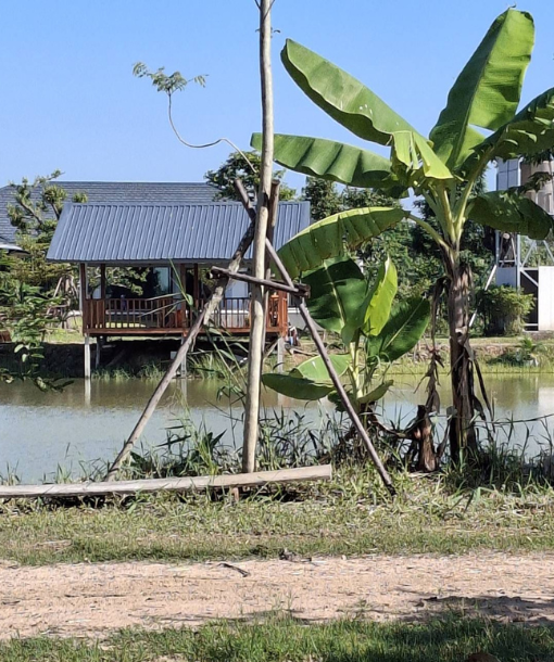 freshwater fishing Kalasin freshwater fishing Kalasin